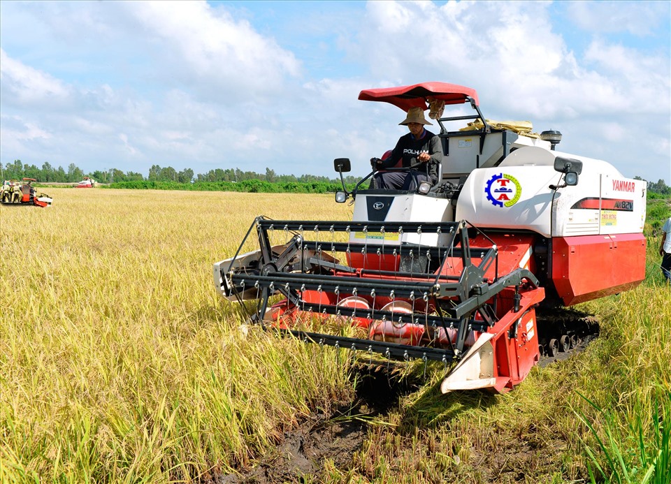 Đi tìm giải pháp gặt lúa mới trong đợt dịch Covid-19