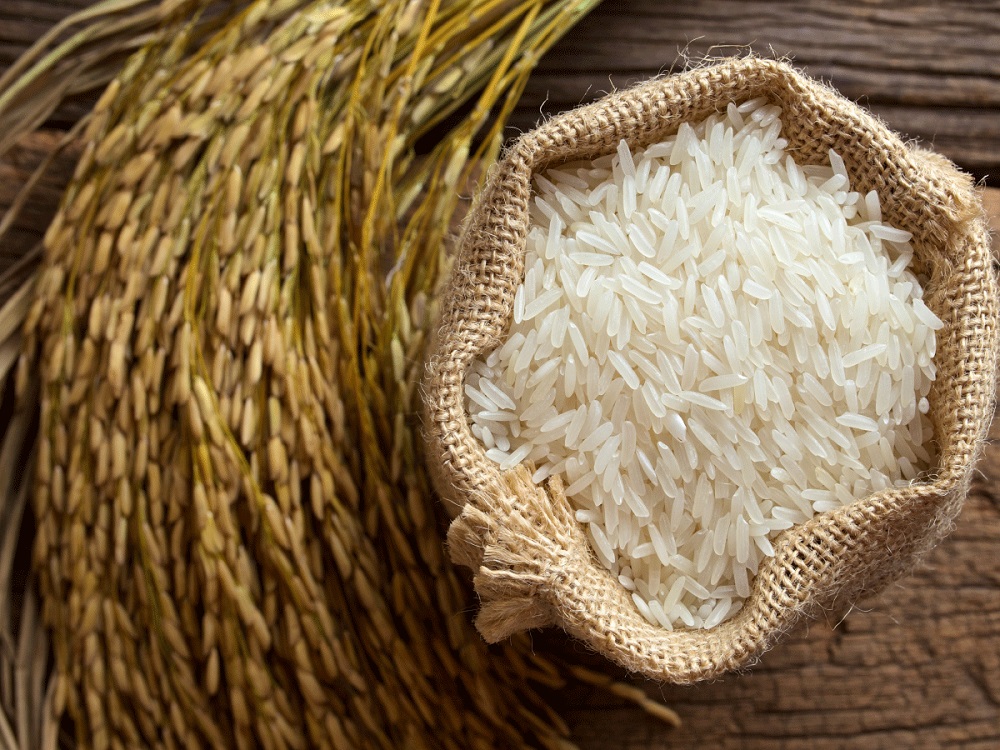 doanh nghiệp nhập khẩu gạo