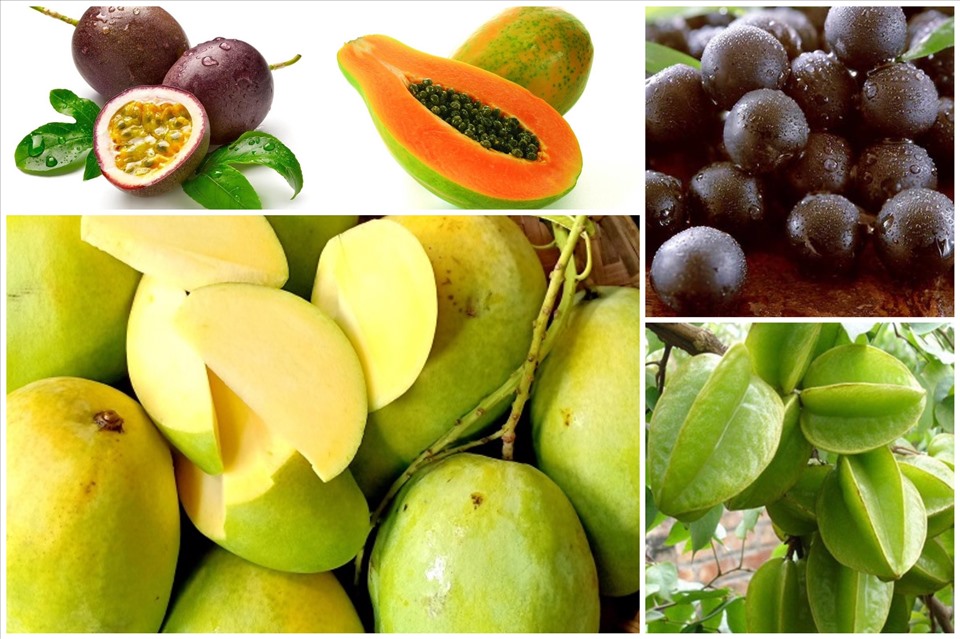 Trái cây Việt Nam xuất khẩu rất được ưa chuộng tại EU