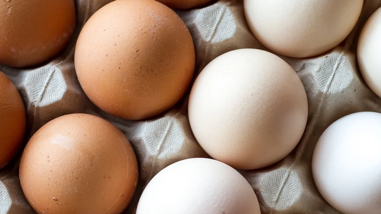 Người tiêu dùng rất ưa chuộng loại trứng gà hai lòng đỏ